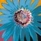 Sunshine Flower II Poster Print by Leslie Bernsen - Item # VARPDXBLP256